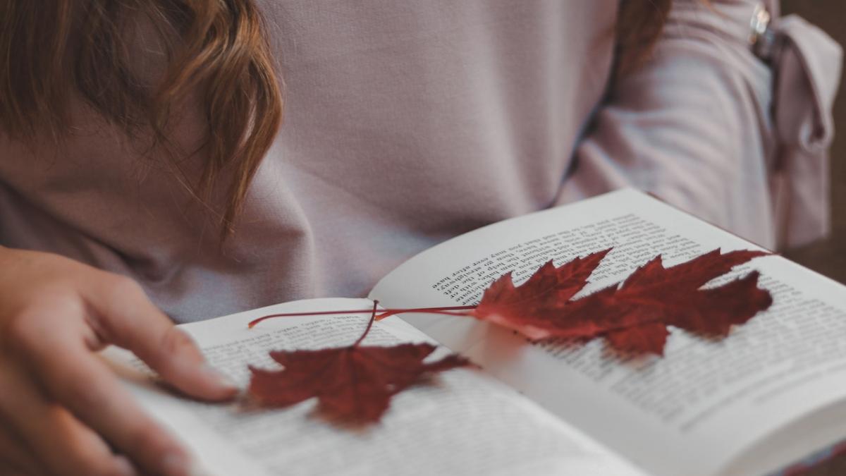 articol-defenseromania-2-1_45969200