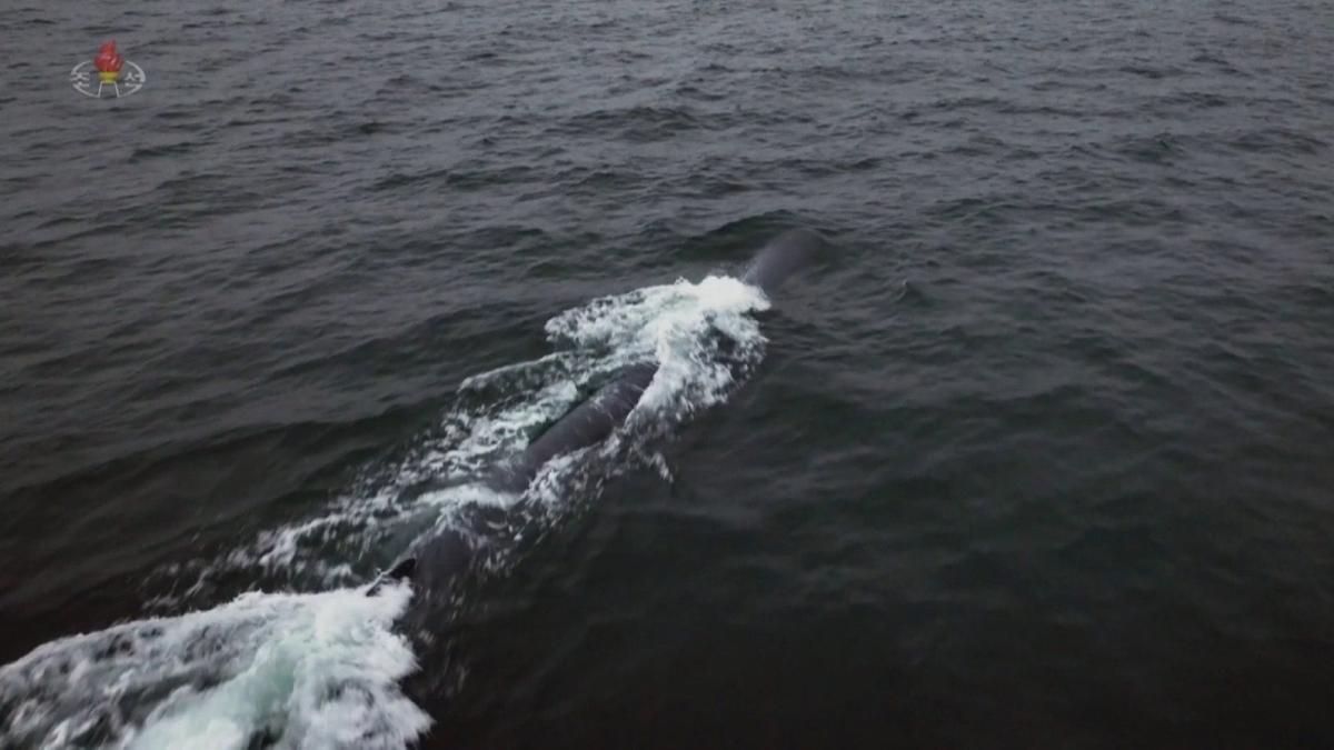 drona-submarina-coreea-de-nord_42913400