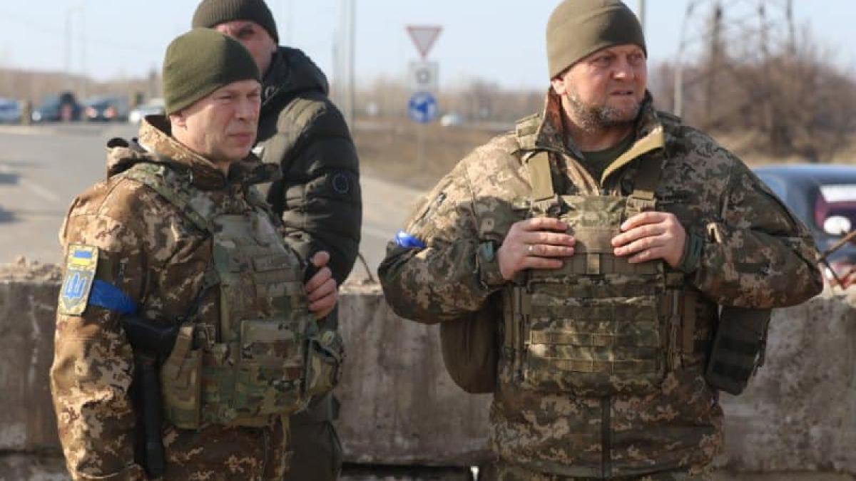 zalujnii-sirski_49890000