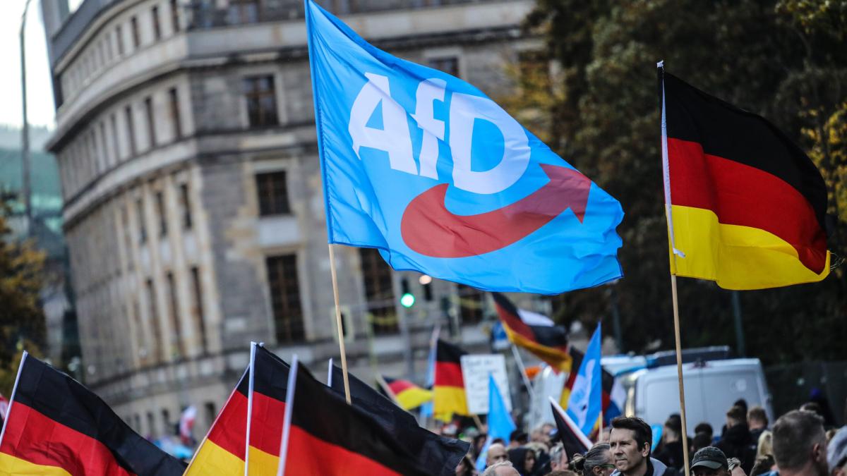 protest-germania-partid-afd_48447500