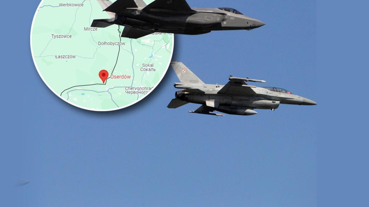 colaj-fortele-aeriene-poloneze-_87312600