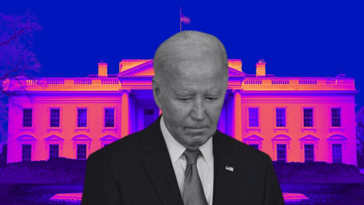 whatsapp-image-2024-07-10-at-16-13-36_60289400