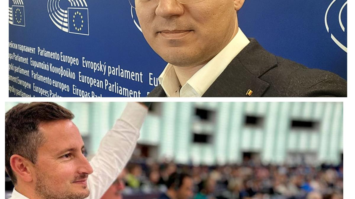 mixcollage-16-jul-2024-09-32-pm-3033_66545000