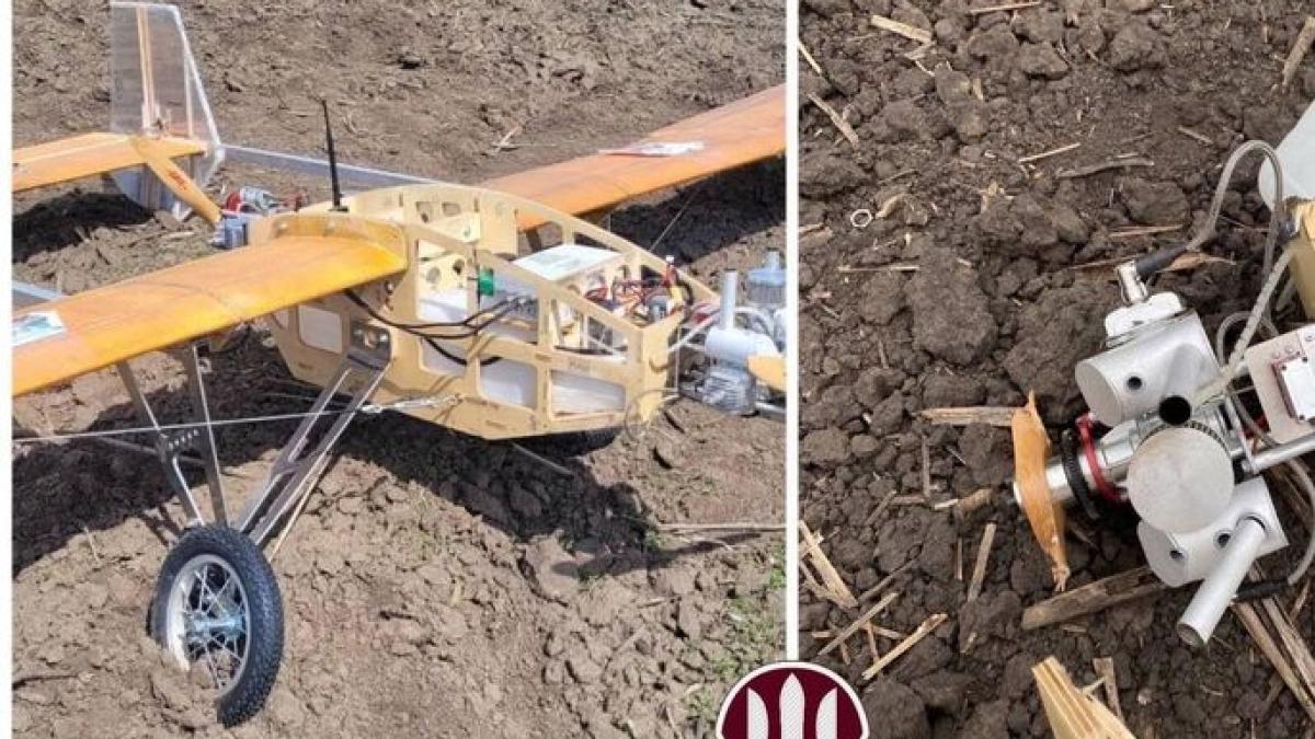 rusia-drona-din-placaj_55022300