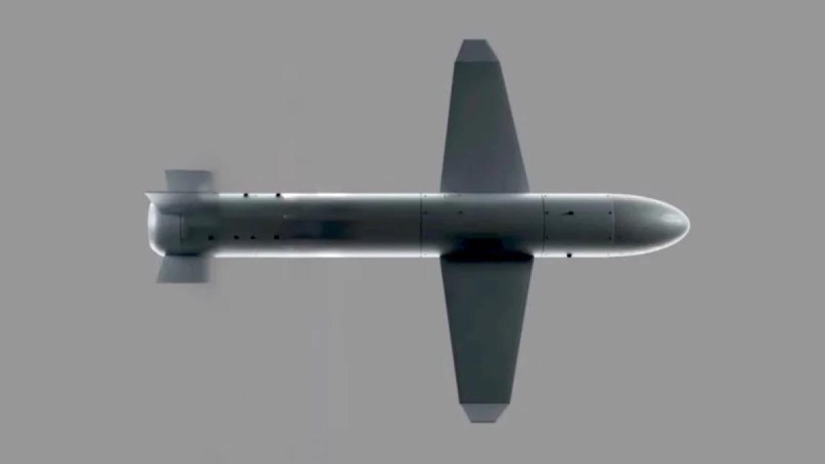 Proiectul militar ucrainean Palianîția, de interes şi pentru un stat membru NATO: Investiţie de 10 milioane de euro în producția dronei-rachetă