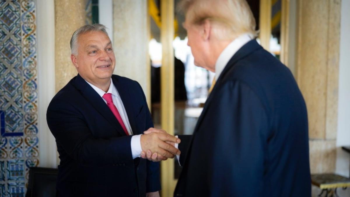 trump_orban_65952100_95988200