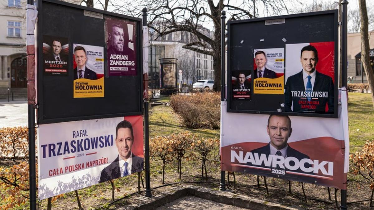 colaj-alegeri-polonia-2_15243400