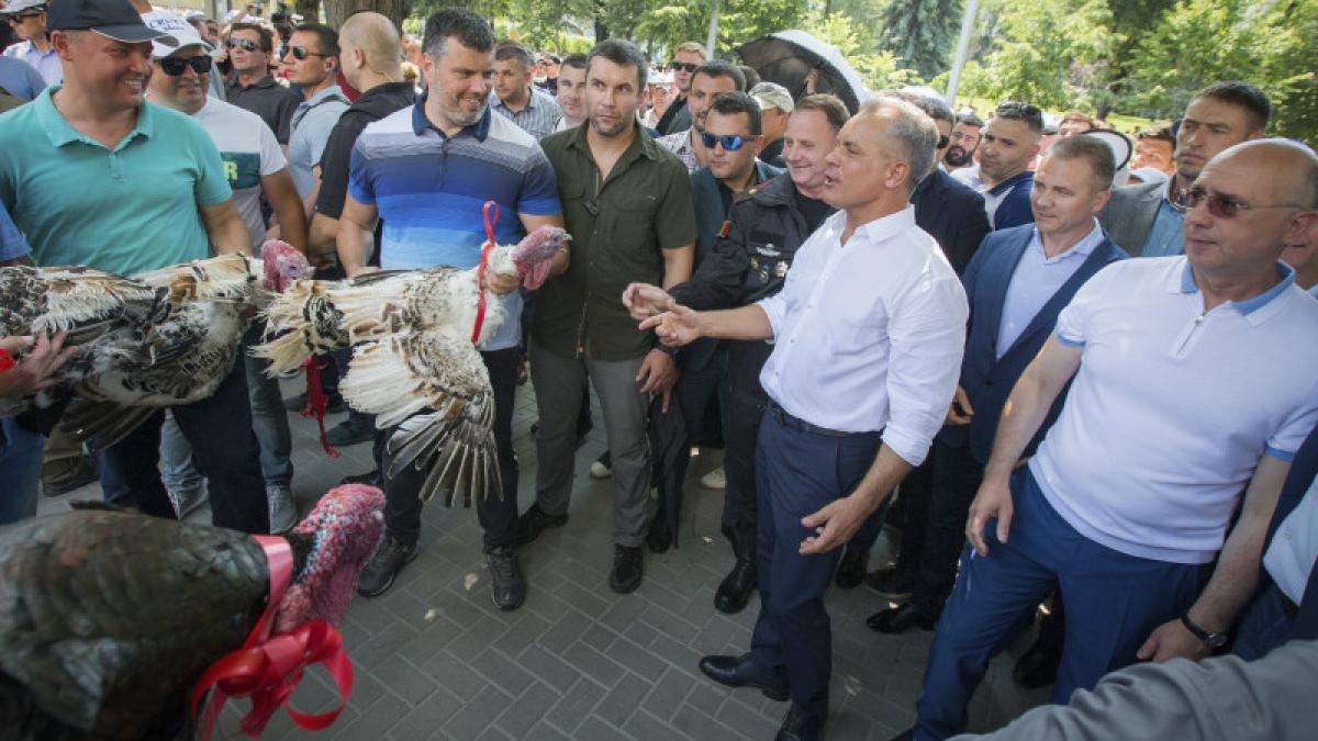 plahotniuc-moldova_32979000_04491500