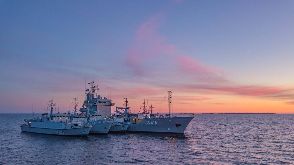 vanatoare-de-mine-sandown-puitor-marea-britanie_80679100