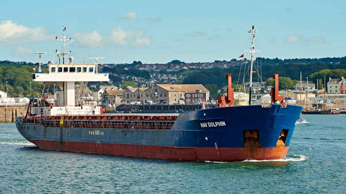 nava-hav-dolphin_25458200