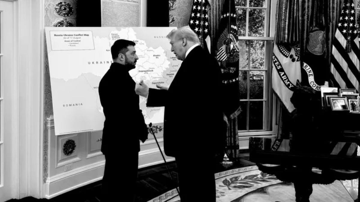 casa-alba-x_08000400