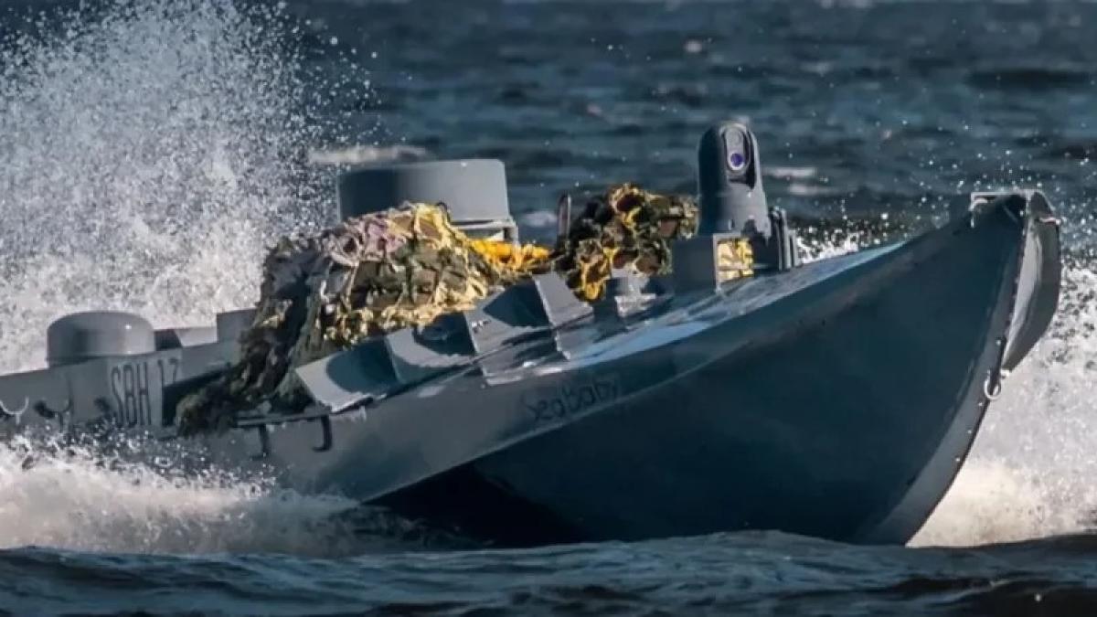 drona-sea-baby_83871300