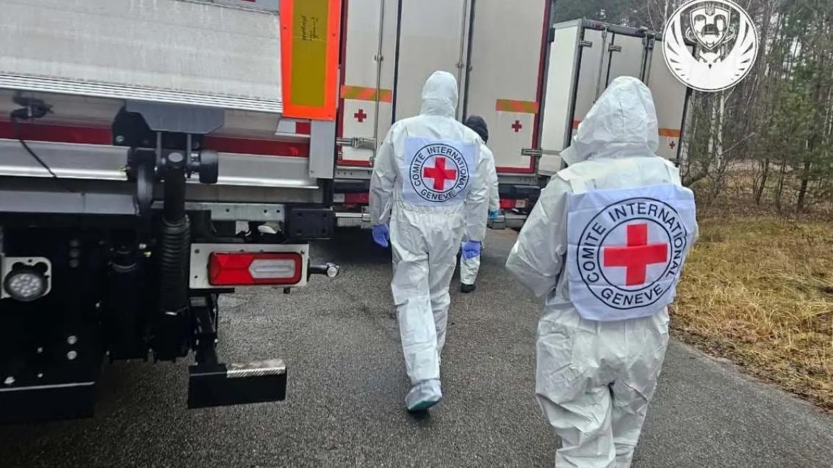 whatsapp-image-2025-12-19-at-15-27-28-1_50238600