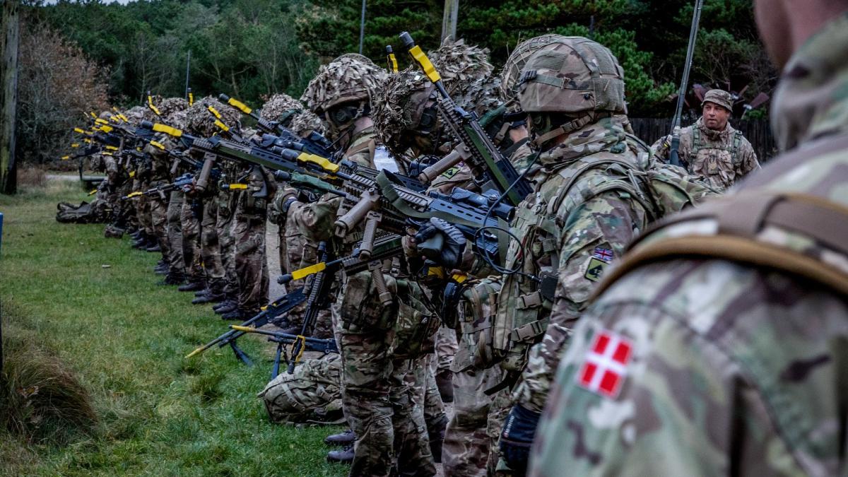 Militari danezi armata daneza