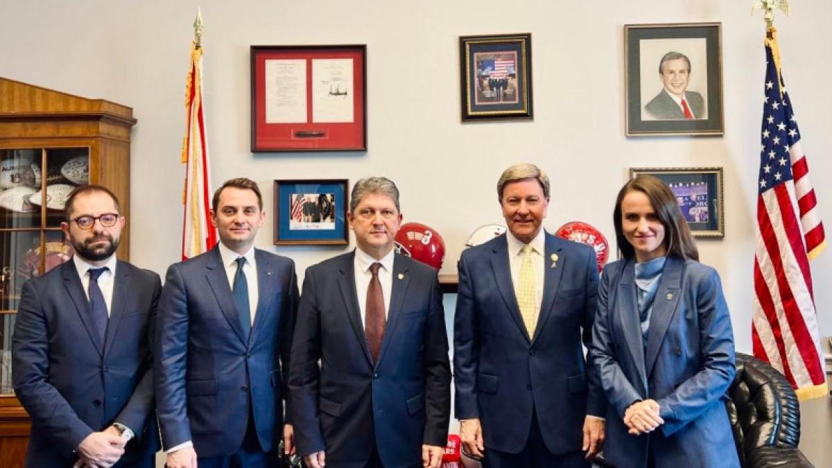 oana toiu corlatean jurca burnete