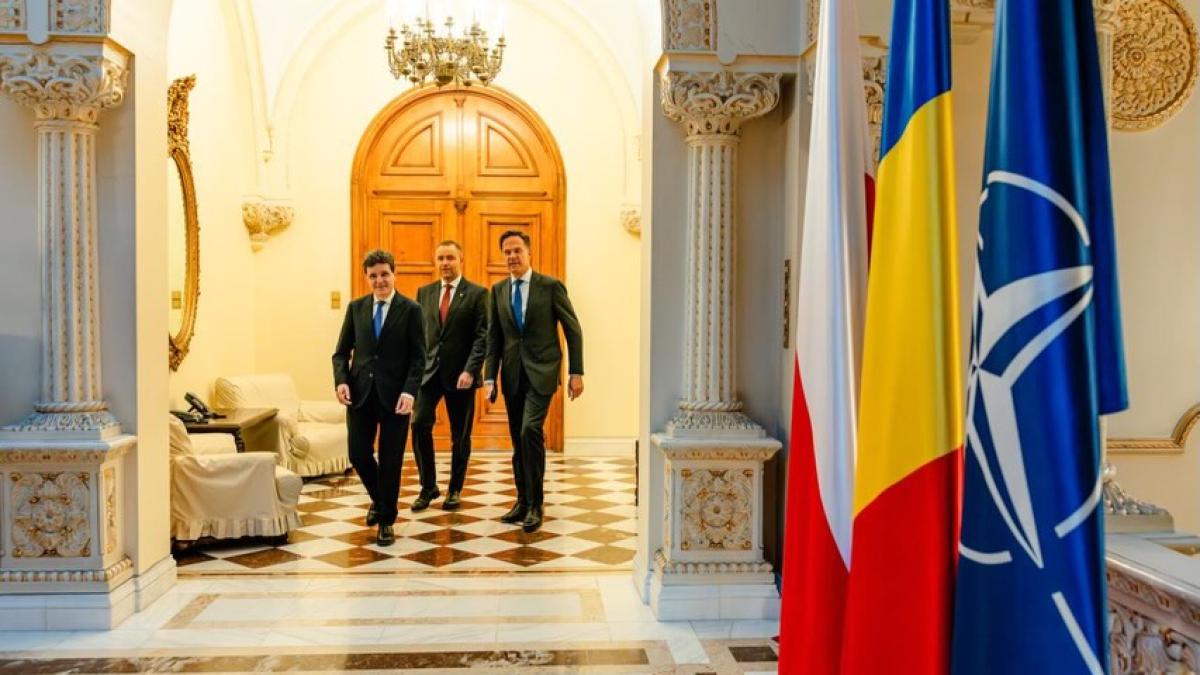 nawrocki rutte nicusor dan