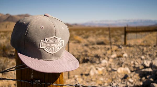 Germania, risc strategic din cauza propriei campanii de propagandă