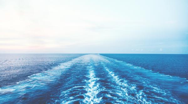 Israelul a interceptat o navă cu militanţi  