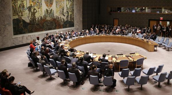 Jinga, intervenție în Consiliul de Securitate ONU