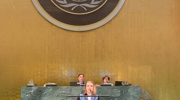 Tatiana Molcean: Rusia să sisteze acțiunile destabilizatoare din regiunea din care fac parte R.Moldova și Ucraina