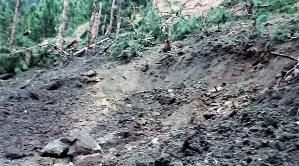 Bombardamente India. Pakistanul acuză ''terorismul ecologic''