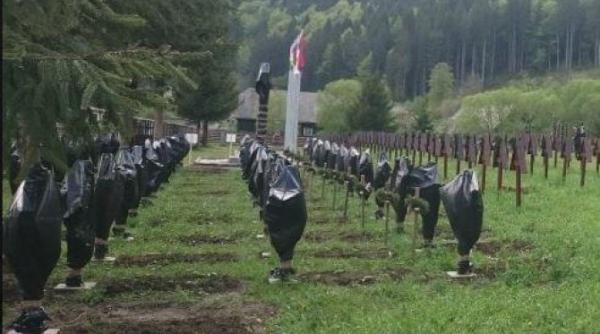 Crucile eroilor români din cimitirul Valea Uzului, acoperite cu saci negri de gunoi