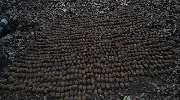 Peste 1.000 de grenade germane din Primul Război Modial, descoperite în Vrancea