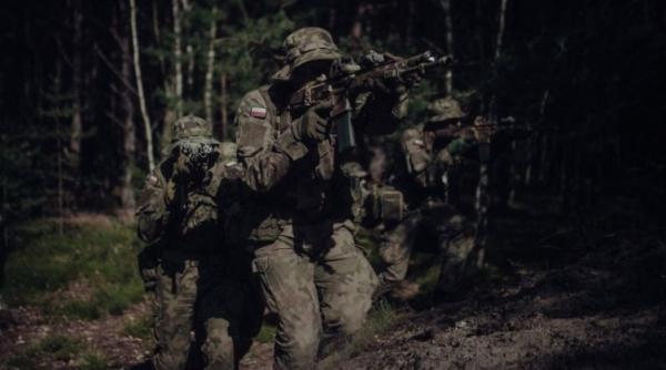 Polonia a comandat mai multe puști și pistoale