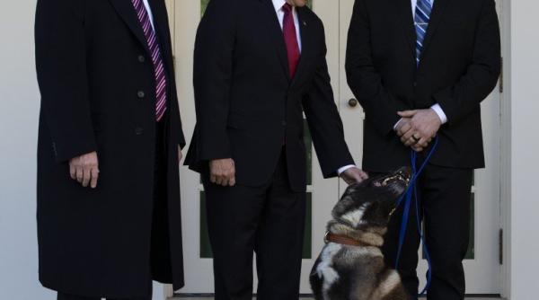 Trump l-a decorat pe Conan, ''câinele incredibil'' care a participat la raidul asupra lui al-Bagdadi