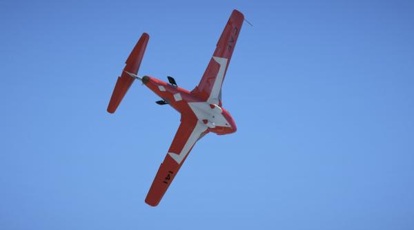 Avion Tutor CT-114 al formației de acrobație Snowbirds, prăbușit în Canada - Video