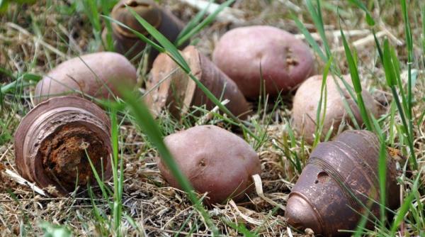 Ungaria a 'importat' din Normandia muniție de artilerie din timpul Marelui Război, împreună cu saci de cartofi