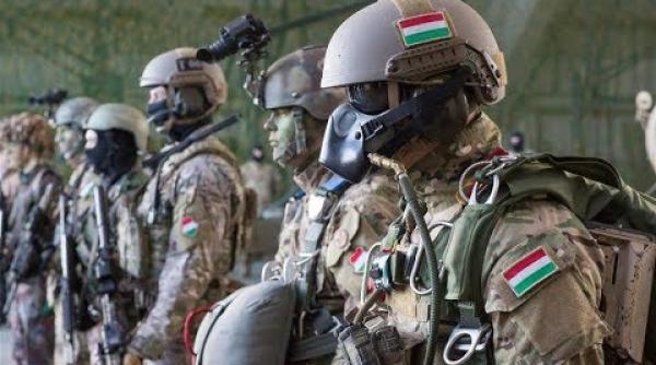 Ministrul ungar al apărării: Va fi introdus serviciul militar voluntar pentru cei care şi-au pierdut locul de muncă în timpul epidemiei de coronavirus