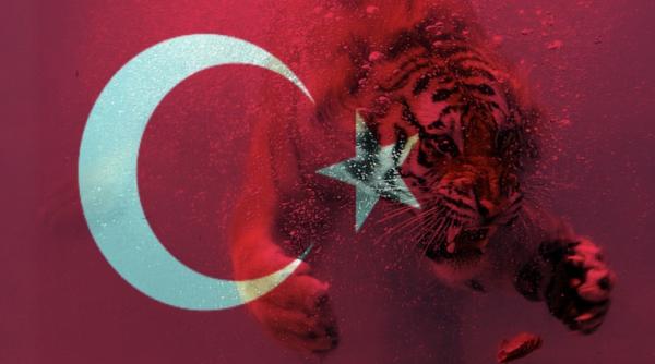 Turcia a lansat operațiunea Gheara Tigrului în nordul Irakului