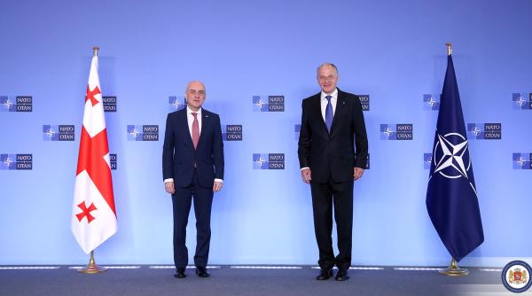 Mircea Geoană: NATO va continua să furnizeze sprijin Georgiei pentru implementarea reformelor