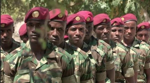 Armata etiopiană a declanșat o ofensivă împotriva rebelilor în Tigray