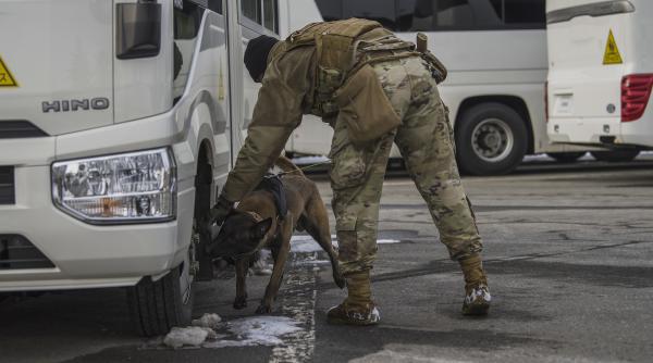 Importanța câinilor de serviciu în cadrul US Air Force