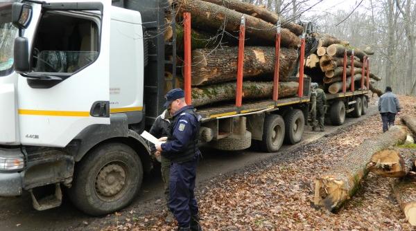 SUMAL 2.0 pentru a depista tăierile ilegale de lemn. Tanczos Barna: Peste 3.000 de utilizatori, din rândul Poliției și Jandarmeriei