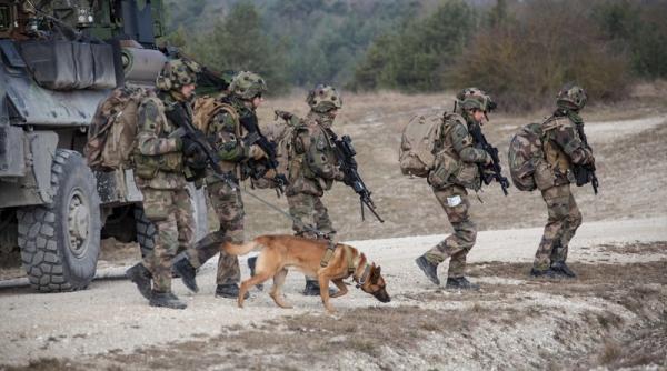 Nimeni nu este lăsat în urmă. Câine al Infanterie Canine, salvat de Armata franceză