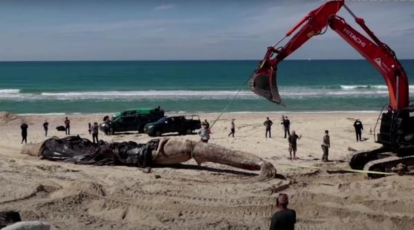 Israelul acuză Iranul de terorism ecologic. Ancheta confirmă că un petrolier iranian a poluat intenționat apele israeliene din Mediterană