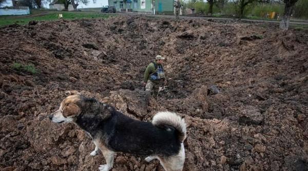 Crimele ruse de război: Cadavrele a 1.150 de civili, descoperite în regiunea Kiev. Peste jumătate aveau răni provocate de gloanţe de calibru mic