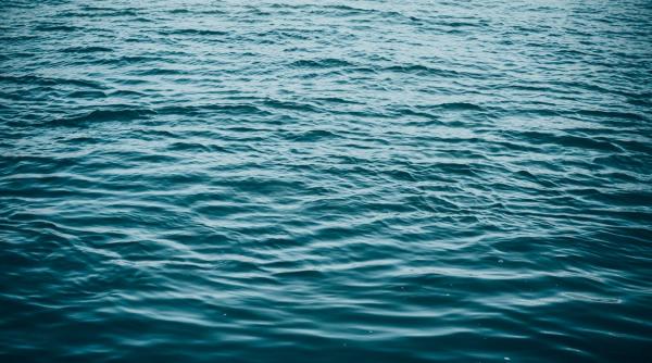 Japonia urmărește opt nave de război din Rusia și China, aflate în apropierea teritoriului său