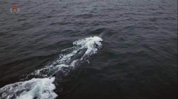 Coreea de Nord susține că a testat o dronă subacvatică purtătoare de focoase nucleare în replică la exercițiile SUA din Marea Japoniei