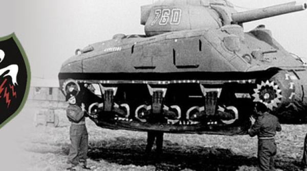 "Armata de fantome". Veteranii unei vechi unităţi speciale a U.S. Army au primit cea mai înaltă distincție de la Congresul SUA