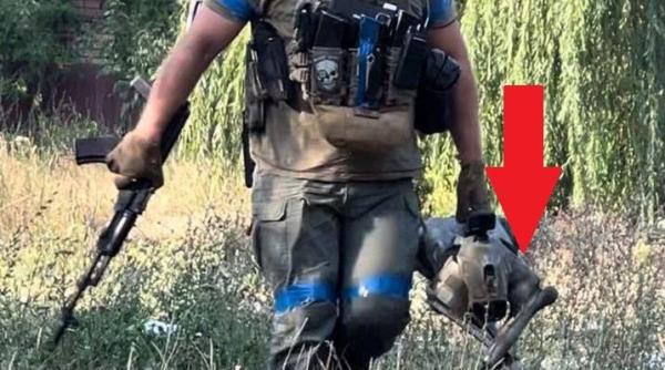 Forţele Armate Ucrainene aruncă în luptă o nouă armă (Foto/Video): Câini roboți de fabricaţie chineză, utilizaţi în luptă urbană 