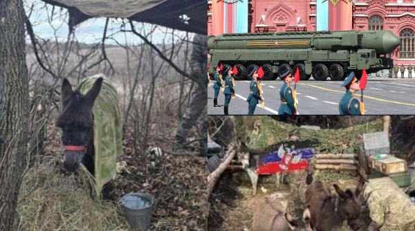 După ATV-uri ca în ”Mad Max”, Rusia trece la ”Familia Flintstone”: Măgarii și “cămilele umane”, inovațiile aruncate în lupta din Ucraina