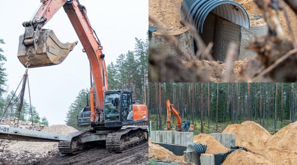 Estonia se pregătește de orice și consolidează cu 150 de buncăre Centura Defensivă de lângă granița cu Rusia